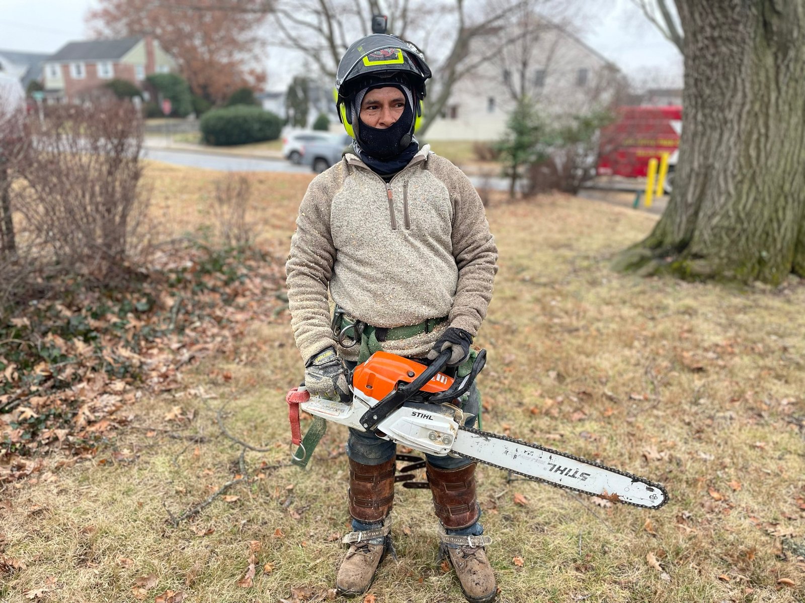 Arborist Consulting