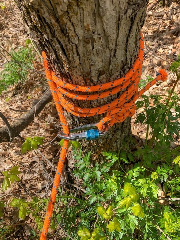 Cabling and Bracing