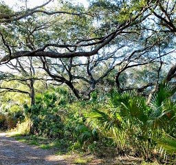 Frenchman's Forest Natural Area