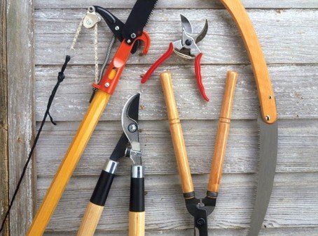 Pruning Tools: 