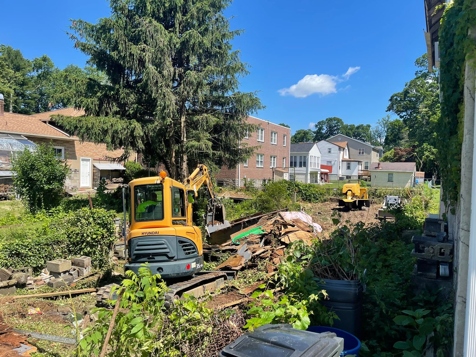 Residential Tree Removal