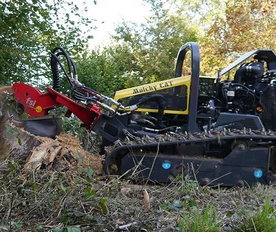 Tree Removal Techniques