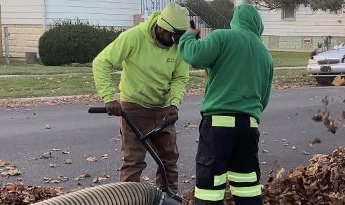 Tree-Trimming-Palm-Beach-FL-Tree-Masters-of-Palm-Beach